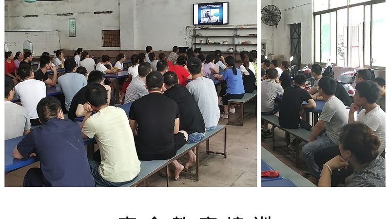 家庭教育指导师证与心理咨询师：两者的区别与职业定位